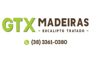 https://www.abpm.com.br/wp-content/uploads/2025/07/GTX-logo-marca_page-0001-scaled-e1753118851639.jpg